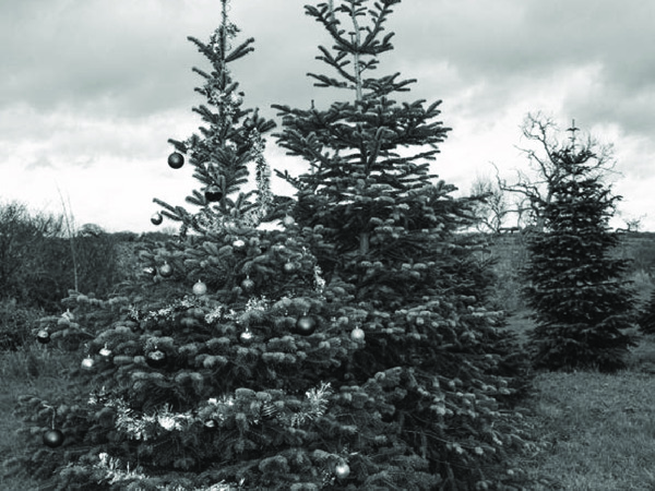 Gate Group News — Issue 350